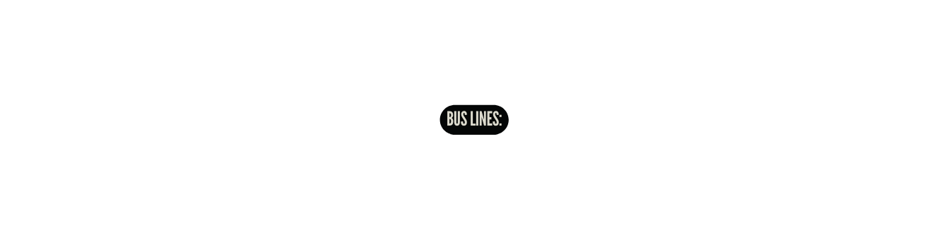 bus lines